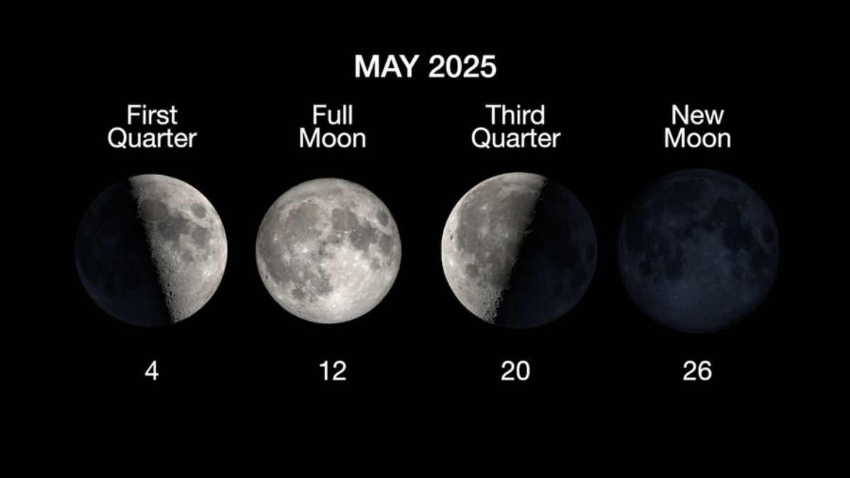 May’s Lunar Cycle: What the Moon Has in Store for You